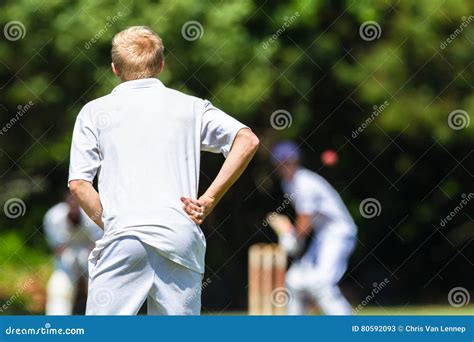 Cricket Fielder Stock Images - Download 348 Royalty Free Photos