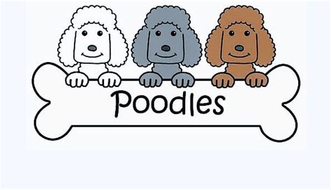 Poodle Club Chile OFICIAL