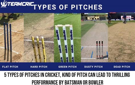 5 Types of Pitches in Cricket, Kind of pitch can lead to thrilling performance by batsman or ...