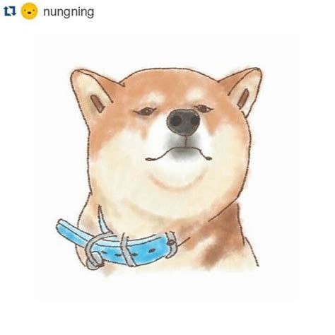 50 Top Doge Meme Graphics, Images & Funny Pictures | QuotesBae