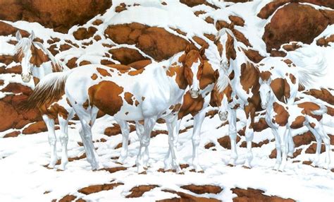 Bev Doolittle ,Horses & landscapes Paintings - ArtPeople.Net For Artists