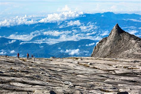 Climbing Mt Kinabalu, Borneo’s biological treasure trove - Lonely Planet