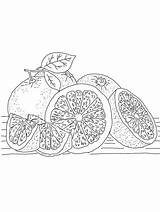 Fruit Coloring Pages Healthy Fruits Grapefruit Birds Drawings  sketch template