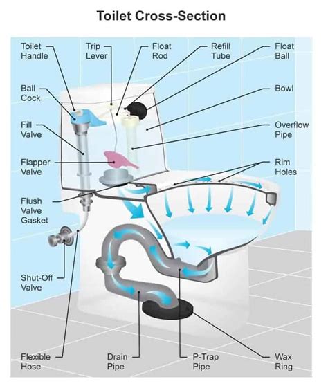 Parts Of A Toilet: What They Are And How To Fix Them, 45% OFF