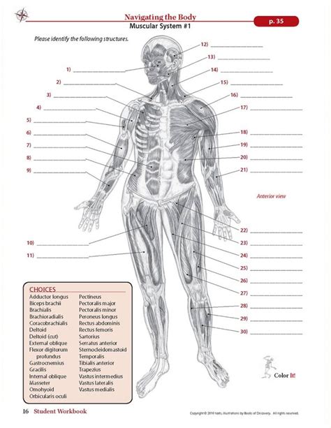 Trail Guide to the Body Student Workbook, 5th Edition - Books of Discovery