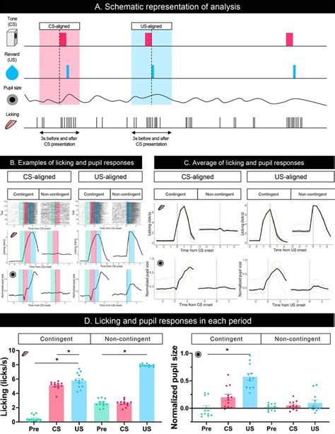 Results of the Pavlovian conditioning training. (A) Schematic ...