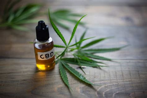 Mengenal Cannabidiol, Senyawa yang Ditemukan dalam Ganja