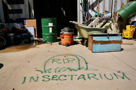 Philadelphia Insectarium evicted, building in shambles - WHYY