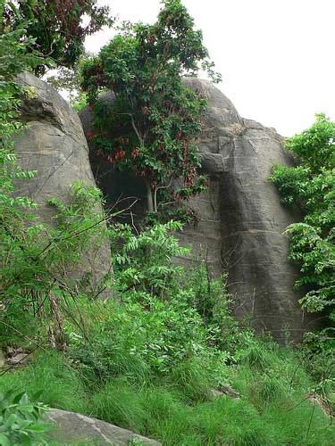 Bheemeshwari Sanctuary in Mandya, Karnataka | BangaloreOrbit.com