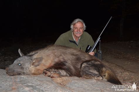 BROWN HYENA HUNT | AfricaHunting.com