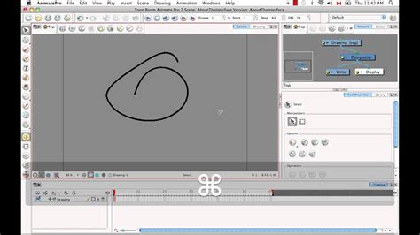 Toon Boom Animate Pro 2 Video Tutorials - 05 About The Interface II - YouTube