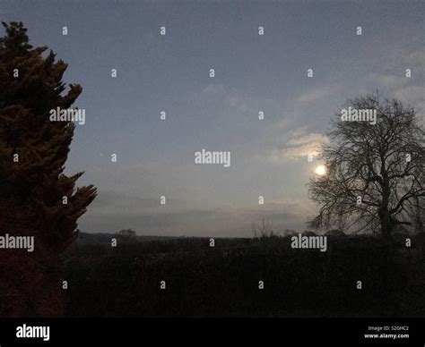 Night landscape with moon Stock Photo - Alamy