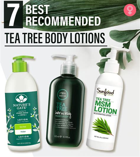 7 Best Recommended Tea Tree Body Lotions