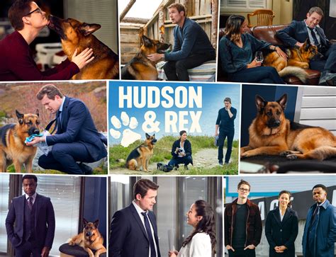 Hudson & Rex | Season 3 Puzzle (Limited Edition) – Shaftesbury