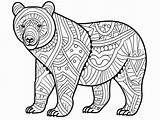Cinnamon Bear Coloring Page For Adults  Free Printable coloring sketch template