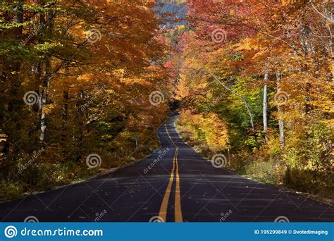 Tunnel of Fall Colors in the White Mountains Stock Image - Image of colorful, beautiful: 195299849