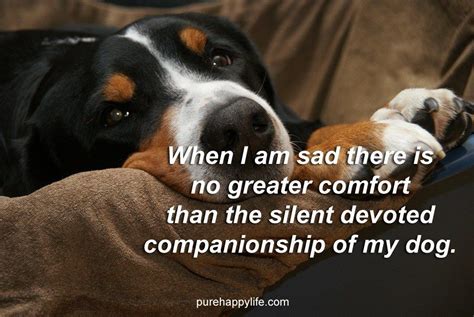 Love My Kids, I Love Dogs, Puppy Love, Cute Dogs, Sad Dog Quotes, Love Quotes, Inspirational ...