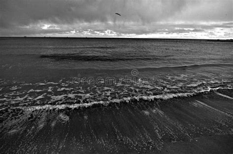 A Winter S Day at the Beach in Odessa, Ukraine Stock Image - Image of waves, cloudy: 51110019