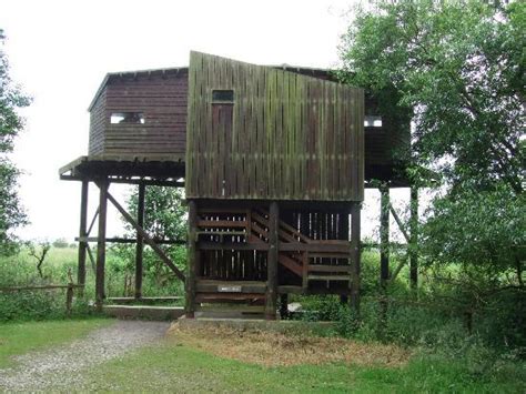 RSPB Minsmere (Saxmundham) - 2021 All You Need to Know Before You Go (with Photos) - Saxmundham ...