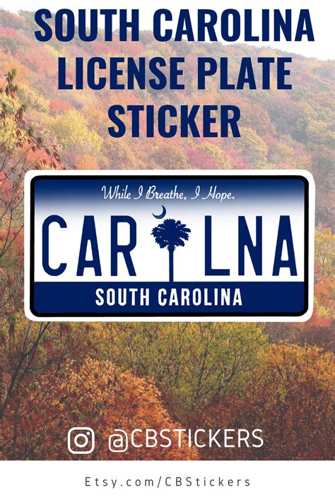 South Carolina License Plate Vinyl Decal South Carolina | Etsy ...