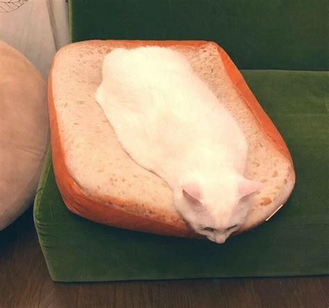 Cheese Cat. +150hp when consumed, item can be merged to craft Cat ...