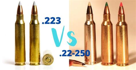 223 Vs 22-250 : Spec & Feature Comparison - Adventure Footstep