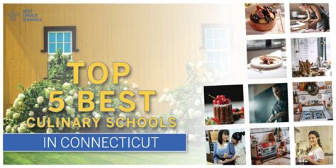 Top 5 Best Culinary Schools in Connecticut 2021 - Best Choice Schools