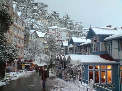 Beat The Heat With Our Recommended Hotels In Shimla For Families