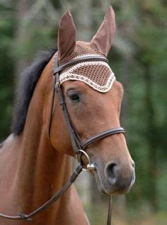 11 Ear Bonnets ideas | bonnets, horse ears, ear