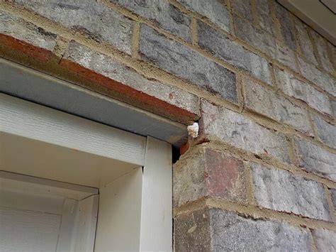 Lintel on the half brick - Exterior Inspections - InterNACHI®️ Forum