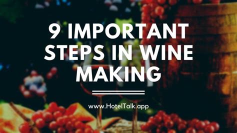 9 Important Steps In Wine Making - HotelTalk - For Hoteliers | Guests ...