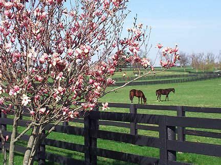 Lexington KY Horse Farm - Lexington Kentucky Farms For Sale - Fayette ...