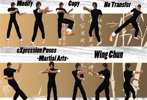 Wing Chun Nasıl Bir Spor? Kuralları, Özellikleri - Spor Haberleri