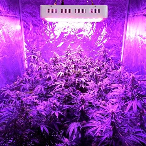 12 Best LED Grow Lights For Marijuana In 2021 - Marijuana Science