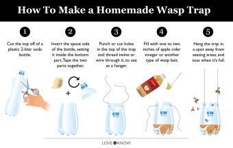 How to Make Homemade Wasp Traps That Work | LoveToKnow