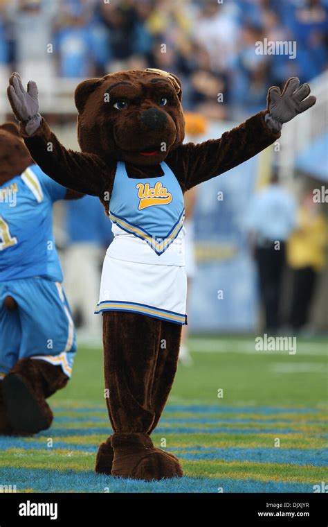 Ucla mascot hi-res stock photography and images - Alamy