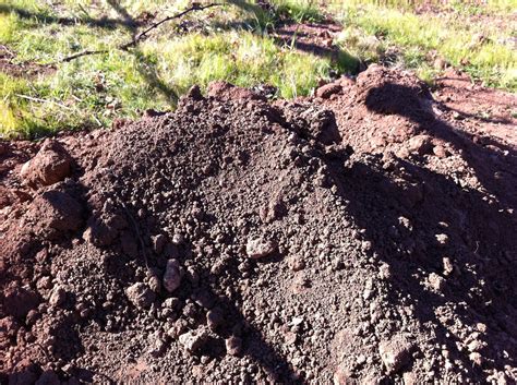 Soil Diversity, Pride Mountain Vineyards