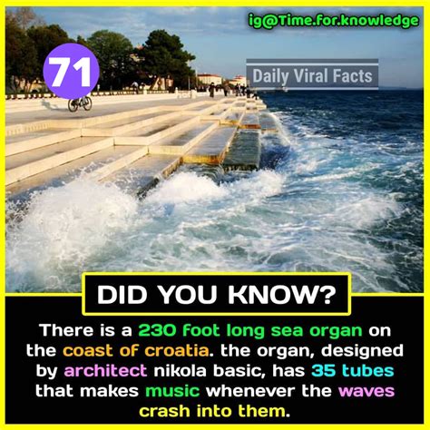 [100+] Amazing Facts That You Should Know #8