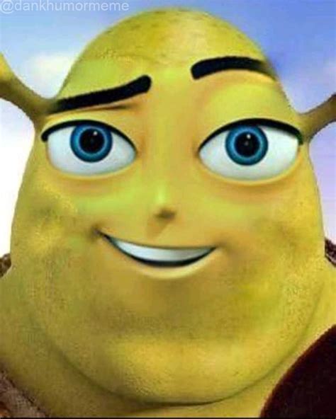 Funny Pfp Sherk Meme Pfp Shrek Meme Memexd Memes Shrek Shrekmeme | Porn Sex Picture