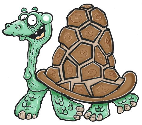 Tortoise As A Pet - Some Interesting Facts - doorstepzoo.com