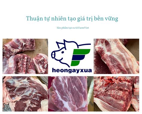 Heo Ngày Xưa - Farm Việt