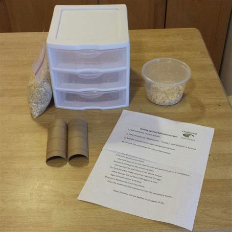 DIY Mealworm Farm Kit by ChickenAid on Etsy | Worm farm, Meal worms, Mealworm farm