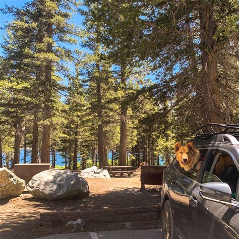 Lake Mary Campground Review – Mammoth Lakes, CA. - Naomy Outdoors