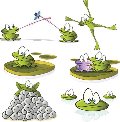 Frog Jumping Contest Illustrations, Royalty-Free Vector Graphics & Clip Art - iStock