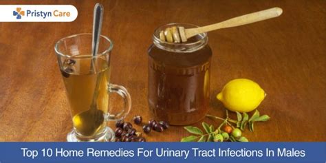 Top 10 Home Remedies For Urinary Tract Infections In Males - Pristyn Care