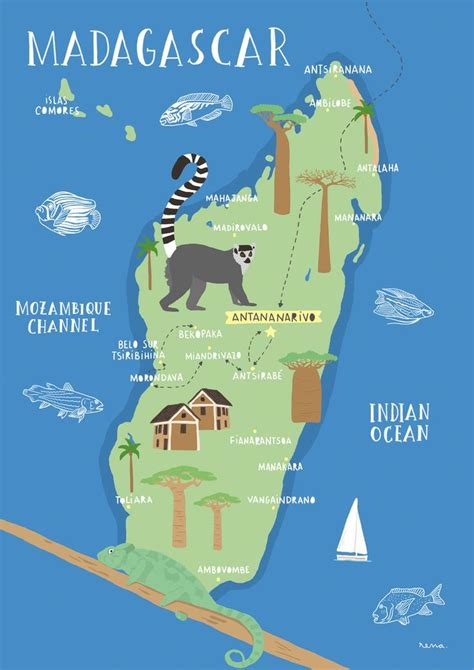 Travel infographic - An illustrated Map of Madagascar, place of lemurs ...