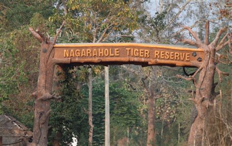 Complete Guide on Nagarhole Safari | Otter's Creek Home Stay Guest ...