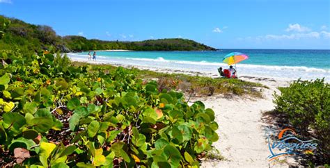 Vieques Beaches - Puerto Rico - Map, Travel Guide, Tips