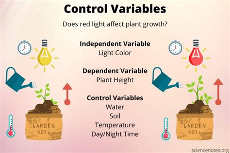 What Is a Control Variable? Definition and Examples