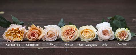 Peach Roses | Flirty Fleurs The Florist Blog - Inspiration for Floral ...